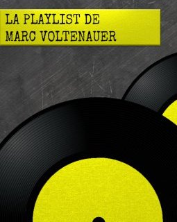 Marc Voltenauer : Fête de la musique