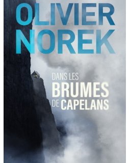 Dans les brumes de Capelans - Le nouveau roman d'Olivier Norek