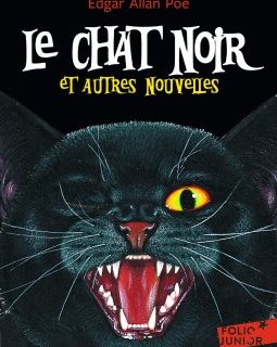 Le Chat Noir et autres nouvelles - Edgar Allan Poe