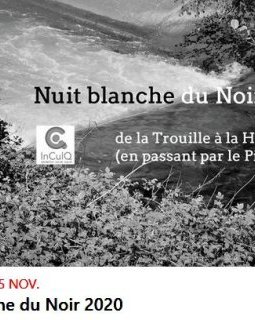 Festival La Nuit Blanche du Noir 2020