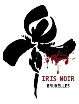 Jacques Saussey et Karine Giebel présideront l'édition 2021 du festival Iris Noir