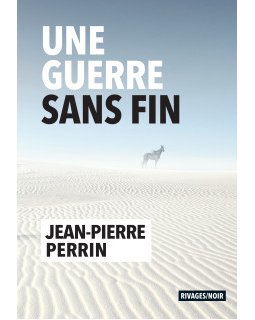 Une guerre sans fin - Jean-Pierre Perrin