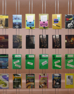 Simenon à l'honneur d'une exposition ! ITW d'Elodie Boyer collectionneuse et commissaire de cette expo.
