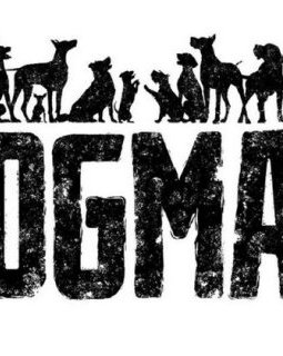 Dogman de Luc Besson : la bande annonce 