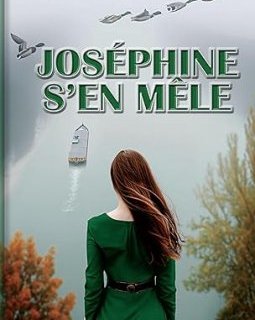 Joséphine s'en mêle - Brigitte Noble