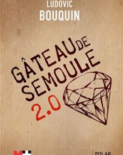 Gâteau de semoule 2.0 - Ludovic Bouquin