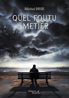 Quel foutu métier - Michel Brie