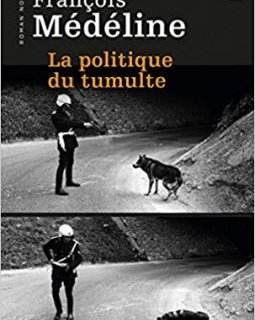 La Politique du tumulte - François Médéline