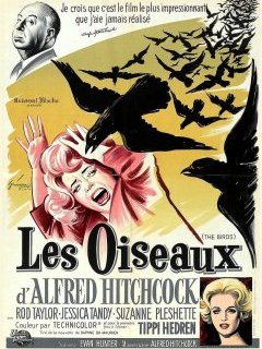 Culture Polar : Les oiseaux d'Alfred Hitchcock. 