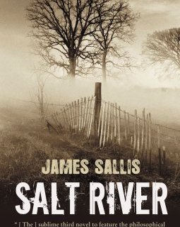 Salt river - James Sallis