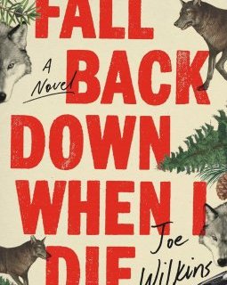 Fall Back Down When I Die - Joe Wilkins