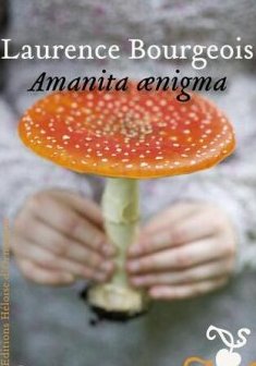 Amanita aenigma - Laurence Bourgeois