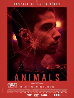 Animals, un film de Nabil Ben Yadir à découvrir en février