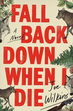 Fall Back Down When I Die - Joe Wilkins