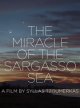 The Miracle of the Sargasso Sea - Syllas Tzoumerkas